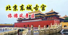 男人操女人的图片视频中国北京-东城古宫旅游风景区